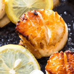 How to Cook Scallops Pinterest Collage