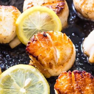 how to cook scallops