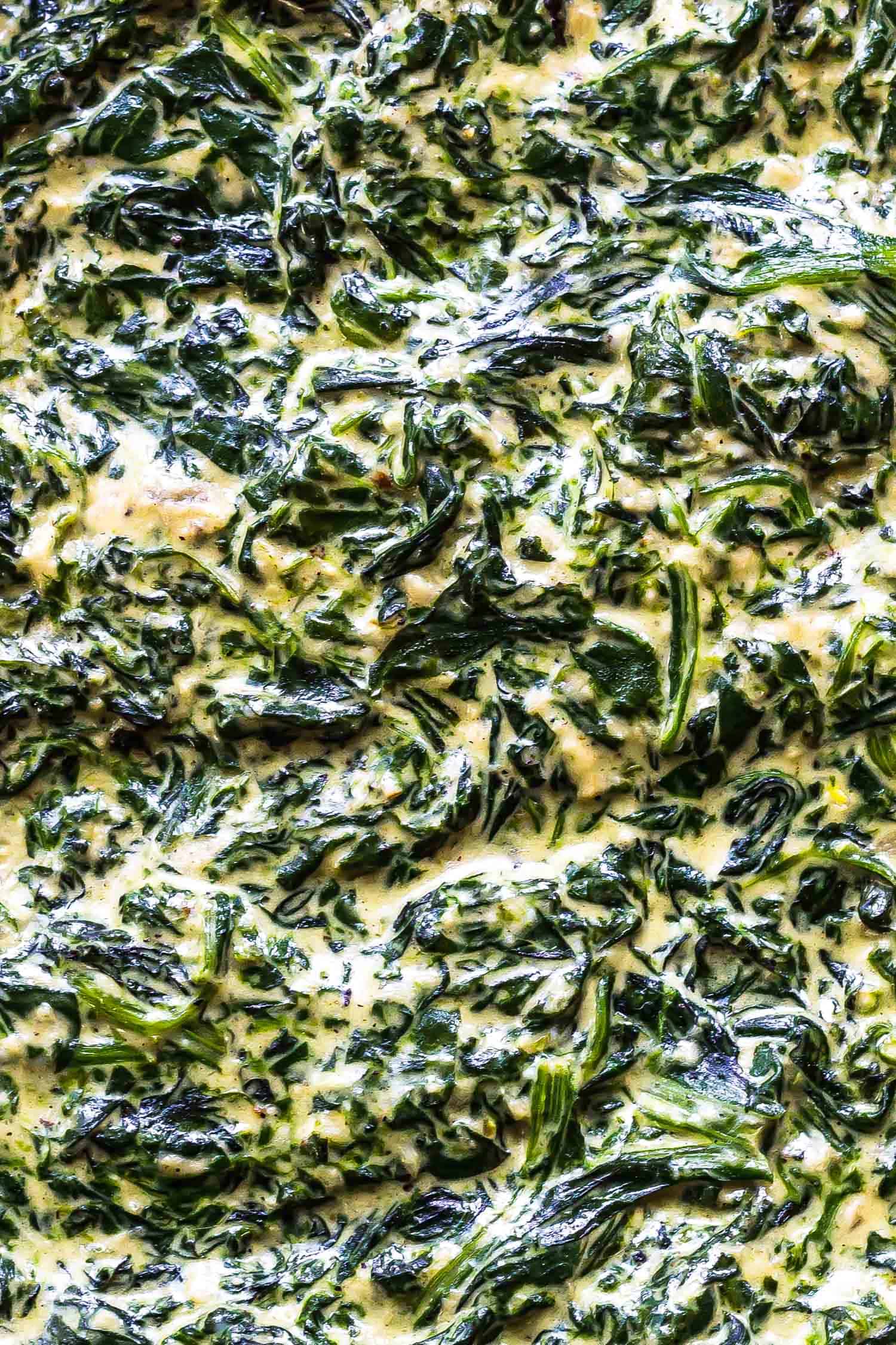 close-up of spinach