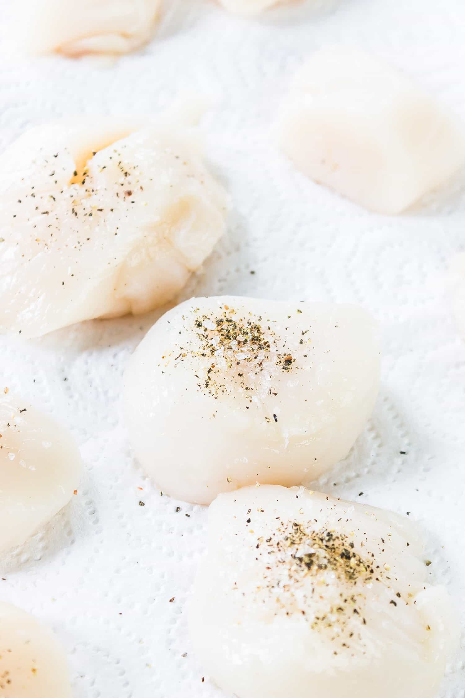 raw scallops seasoned with salt and pepper