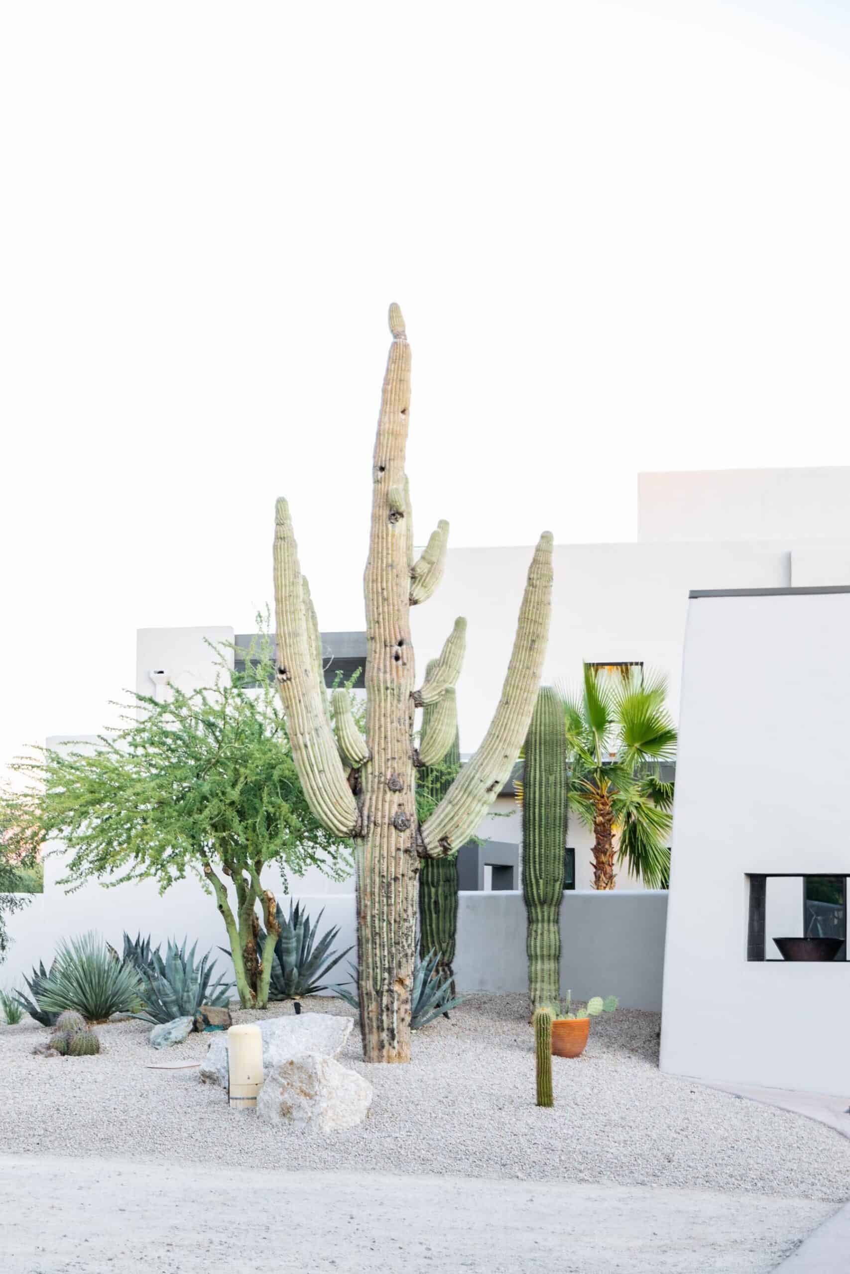 CIVANA cacti garden and spa front entrance