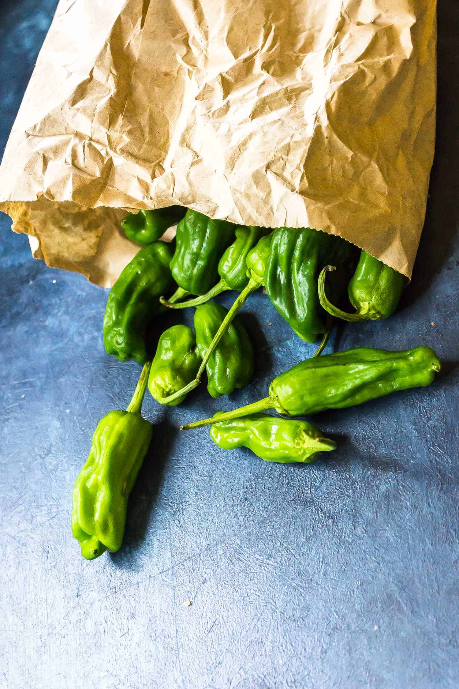 Shishito Peppers in a brown bag spilling out onto a blue background