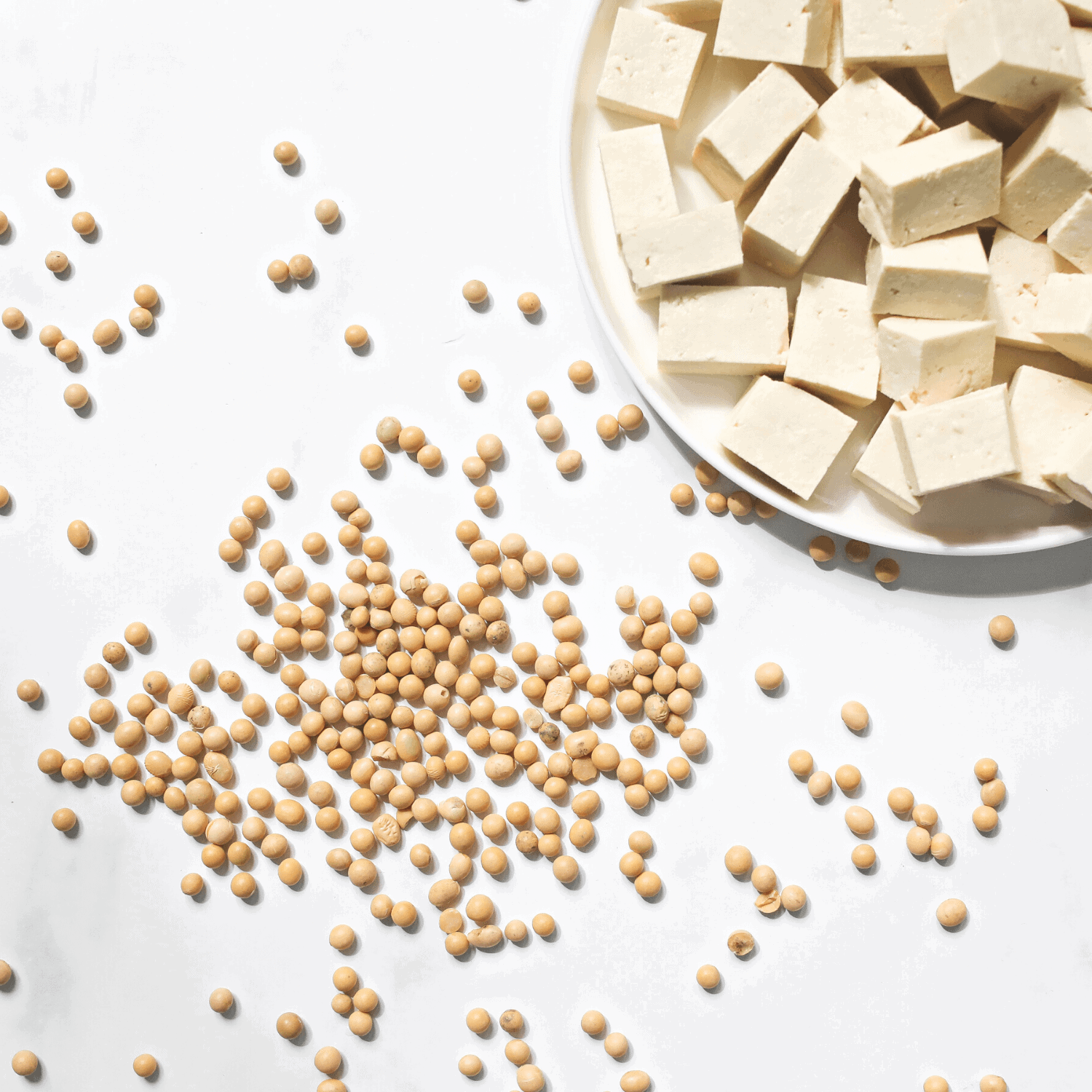 soybeans scattered around a plate of cubed tofu