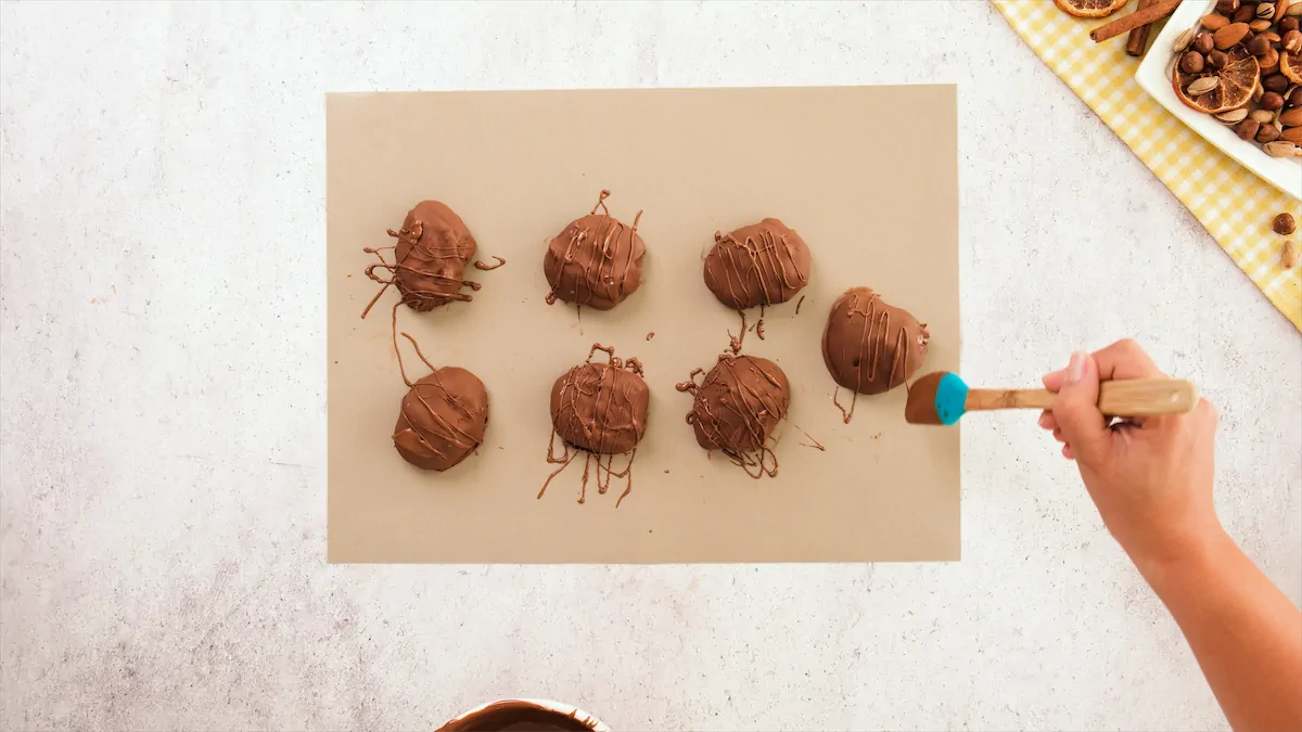 Chocolate coated frozen yogurt bites drizzled with melted chocolate.