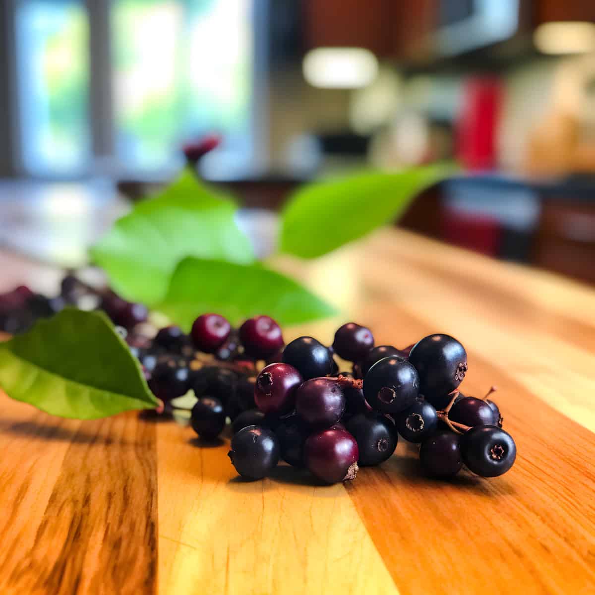 Chokeberry on a kitchen counter