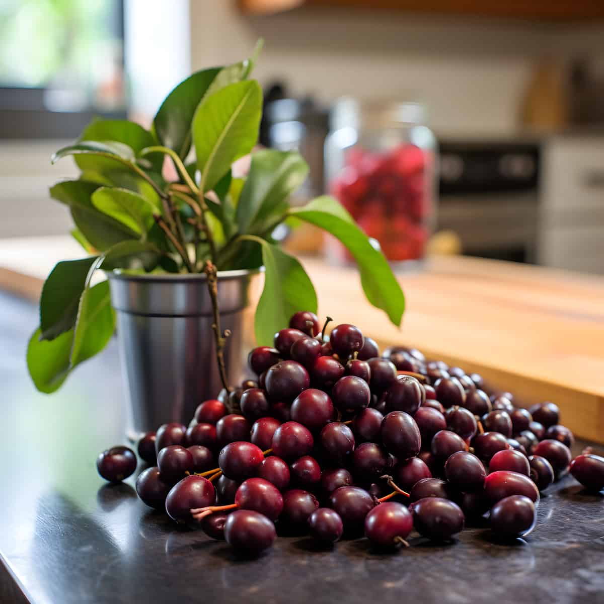 Coffeeberry on a kitchen counter