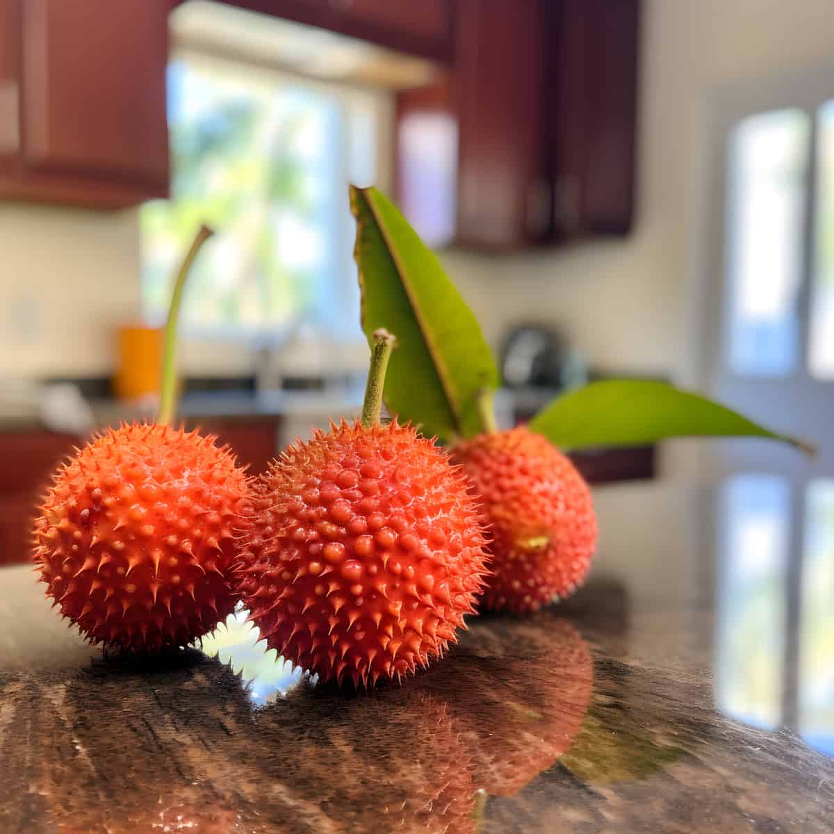 Duguetia Spixiana Fruit on a kitchen counter