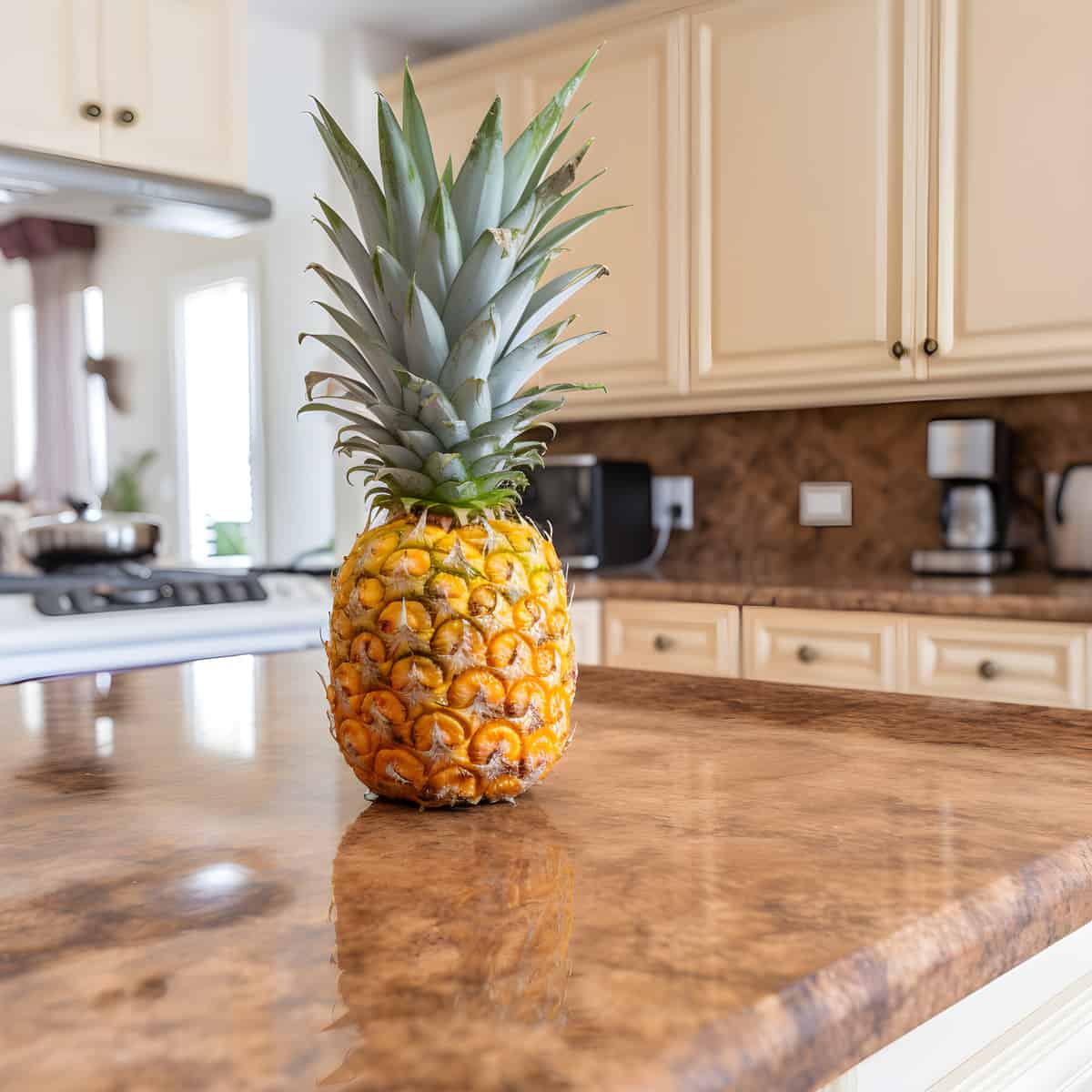 False Pineapple on a kitchen counter