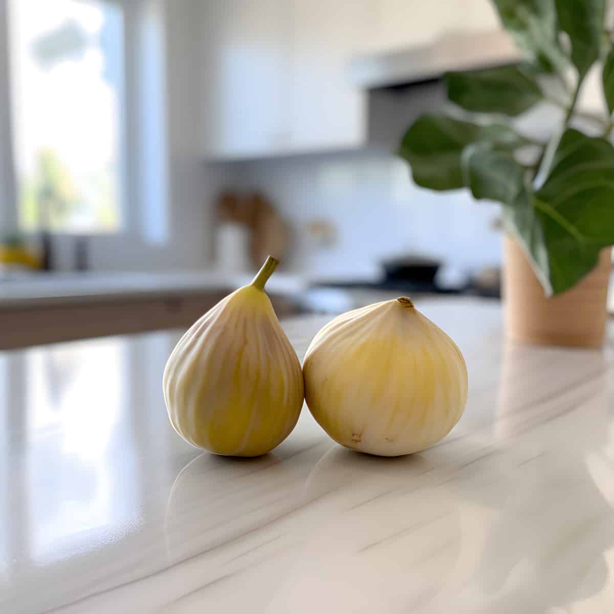 White Fig Fruit on a kitchen counter